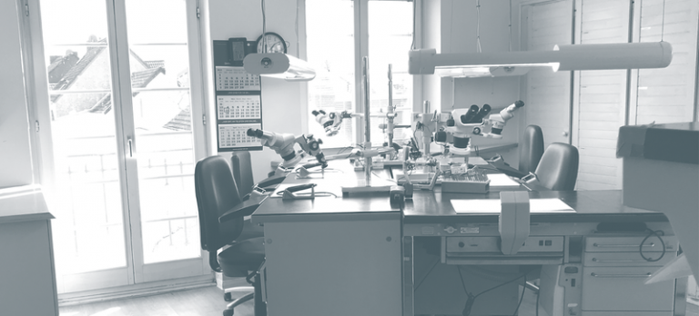 2dedec1c aa23 44e1 a4c6 b80173715dbe 768x348